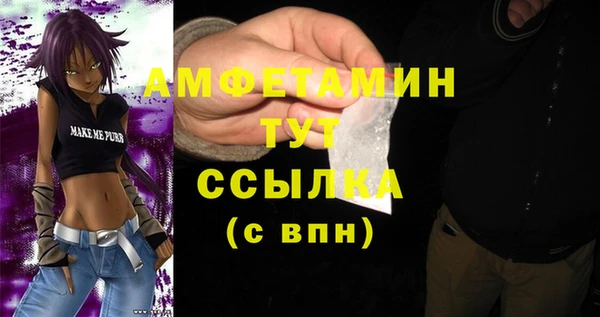 эйфоретик Пересвет
