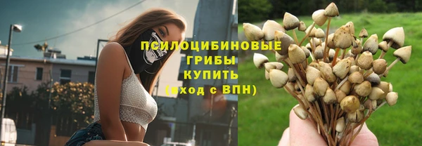 прущая мука Пестово