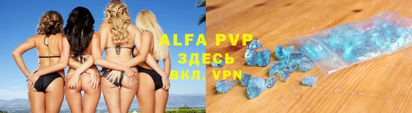 эйфоретик Пересвет