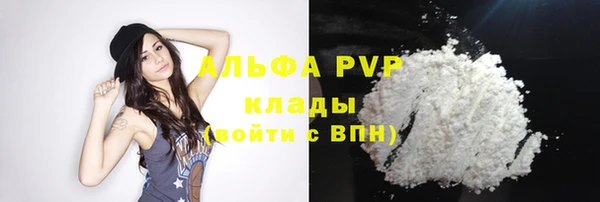 эйфоретик Пересвет
