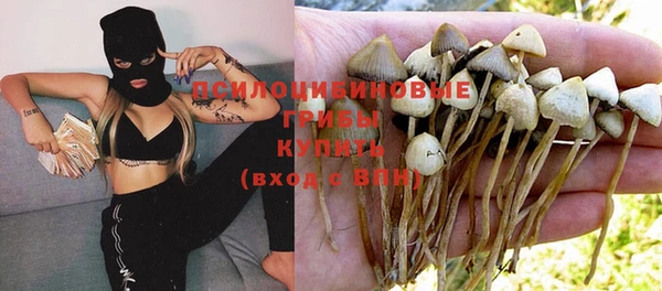 прущая мука Пестово