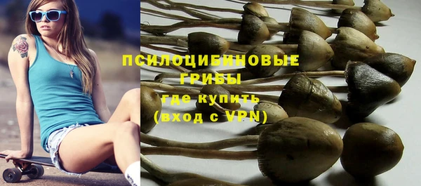 эйфоретик Пересвет