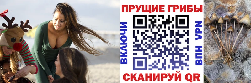 Псилоцибиновые грибы мицелий  магазин  наркотиков  omg ссылки  Белоозёрский 